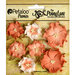 Petaloo - Penny Lane Collection - Floral Embellishments - Mini Wild Roses - Antique Peach
