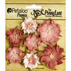 Petaloo - Penny Lane Collection - Floral Embellishments - Mini Wild Roses - Antique Rose