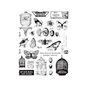 7 Gypsies - Conservatory Collection - Clear Acrylic Stamps