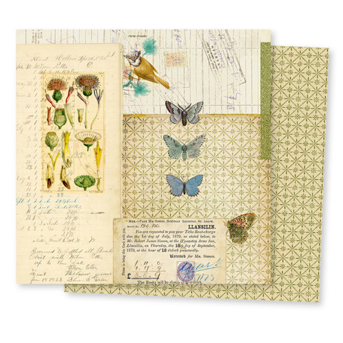 7 Gypsies - Conservatory Collection - 12 x 12 Double Sided Paper - Butterfly
