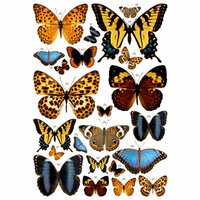 7 Gypsies - Rub Ons - Color - Butterflies