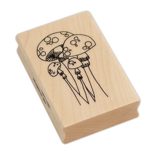 Ranger Ink - Dylusions - Wood Mounted Stamps - Mushroom Madness