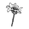 Donna Salazar - Grandma's Garden Collection - Cling Mounted Rubber Stamp - Lil' Daisy 2, CLEARANCE