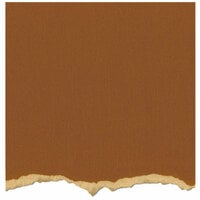 Core'dinations - Tim Holtz - Distress Collection - 12 x 12 Textured Cardstock - Tea Dye