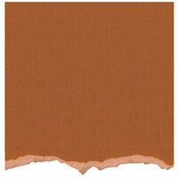 Core'dinations - Tim Holtz - Distress Collection - 12 x 12 Textured Cardstock - Rusty Hinge