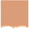 Core'dinations - Tim Holtz - Adirondack Collection - 12 x 12 Textured Cardstock - Peach Bellini