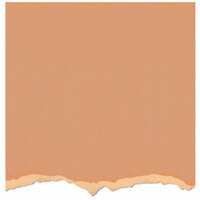 Core'dinations - Tim Holtz - Adirondack Collection - 12 x 12 Textured Cardstock - Peach Bellini