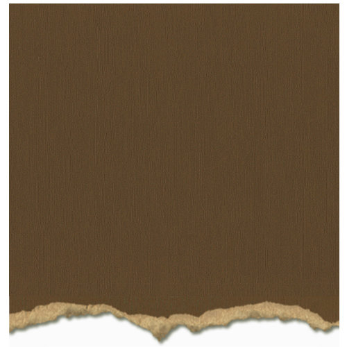 Core'dinations - Tim Holtz - Adirondack Collection - 12 x 12 Textured Cardstock - Espresso