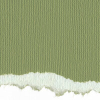 Graphic 45 - Core'dinations - Signature Series Collection - 12 x 12 Textured Color Core Cardstock - Spring Green