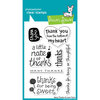Lawn Fawn - Clear Acrylic Stamps - Many Thanks