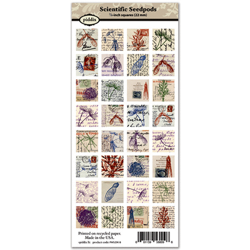 Piddix - Collage Sheet - 7/8 Inch Square Tile Images - Scientific Seedpods