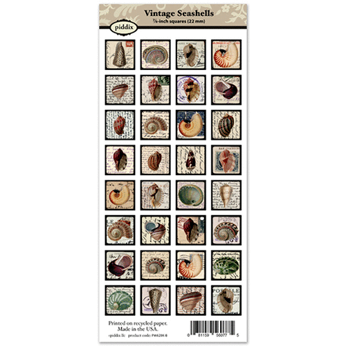 Piddix - Collage Sheet - 7/8 Inch Square Tile Images - Vintage Seashells