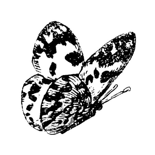 Stampers Anonymous - Donna Salazar - Cling Mounted Rubber Stamp Set - Butterfly