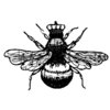 Stampers Anonymous - Donna Salazar - Cling Mounted Rubber Stamp Set - Queen Bee