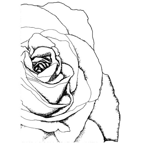 Stamper's Anonymous - Donna Salazar - Cling Mounted Rubber Stamp Set - Drawn Rose Corner