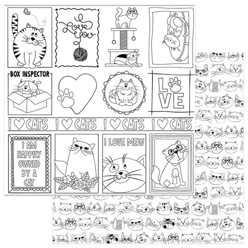 PhotoPlay - Whiskers Collection - 12 x 12 Double Sided Paper - Color Me - Black and White Cats