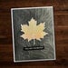 Paper Rose - Dies - Maple Leaf Outlines