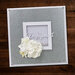 Paper Rose - 6 x 6 Stencils - Floral Borders