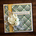 Paper Rose - 6 x 6 Collection Pack - Plaid and Watercolour