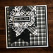 Paper Rose - 6 x 6 Collection Pack - Black and White Plaid