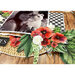 Paper Rose - 12 x 12 Collection Pack - Wild Poppies