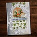 Paper Rose - 6 x 6 Collection Pack - Winter Woodland
