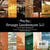 Paper Rose - 6 x 6 Collection Pack - Grunge Landscapes 1.0