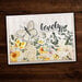 Paper Rose - 6 x 6 Collection Pack - Butterfly Garden