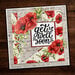 Paper Rose - 6 x 6 Collection Pack - Vintage Poppy