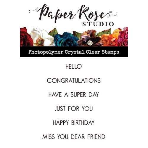 Paper Rose Studio Super Day Sentiments stamp