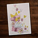 Paper Rose - 6 x 6 Collection Pack - Birthday Girl