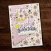 Paper Rose - 6 x 6 Collection Pack - Birthday Girl