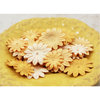 Prima - E Line - Daisy Delicacies Collection - Flower Embellishments - Caramel
