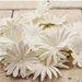 Prima - E Line - Confetti Cake Collection - Flower Embellishments - White