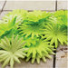 Prima - E Line - Confetti Cake Collection - Flower Embellishments - Lime Green