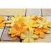 Prima - E Line - Celebrations Collection - Flower Embellishments - Bright Yellow