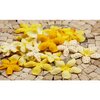Prima - E Line - Flower Embellishments - Yellow Mix 2, CLEARANCE