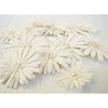 Prima - Daisy Dreams Collection - Flowers - Snow