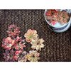 Prima - Artistry Flowers Collection - Flower Mini Tin - Mums