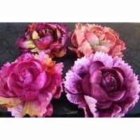 Prima - Windsor Roses Collection - Flowers - Hampton