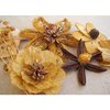 Prima - Wildwood Collection - Wood and Mulberry Flowers - Saffron