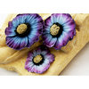 Prima - Parlor Petals Collection - Flower Embellishments - East Lake