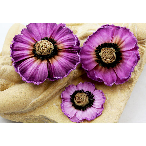 Prima - Parlor Petals Collection - Flower Embellishments - Violet
