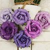Prima - Winter Rose Collection - Flower Embellishments - Violet Ice