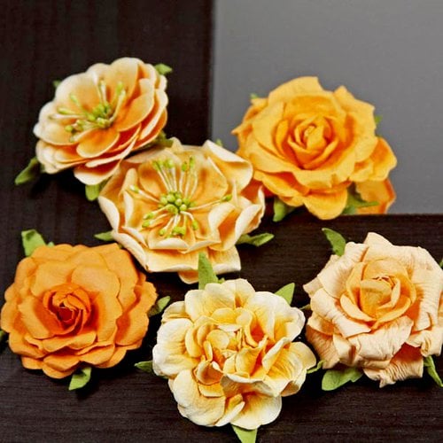 Prima - Lilliput Rose Collection - Flower Embellishments - Tropocale, CLEARANCE