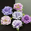 Prima - Lilliput Rose Collection - Flower Embellishments - Iris, CLEARANCE