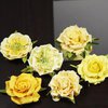 Prima - Lilliput Rose Collection - Flower Embellishments - Yellow, CLEARANCE