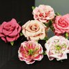 Prima - Lilliput Rose Collection - Flower Embellishments - Teaberry