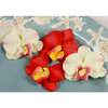 Prima - Island Orchid Collection - Flower Embellishments - Parrot, CLEARANCE