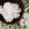 Prima - Pearl Penache Collection - Fabric Flower Embellishments - White Wedding, CLEARANCE